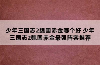 少年三国志2魏国赤金哪个好 少年三国志2魏国赤金最强阵容推荐